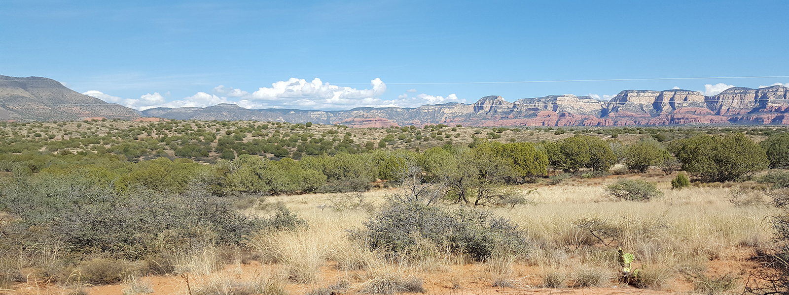 Acres of Pearls - photo of raw land
